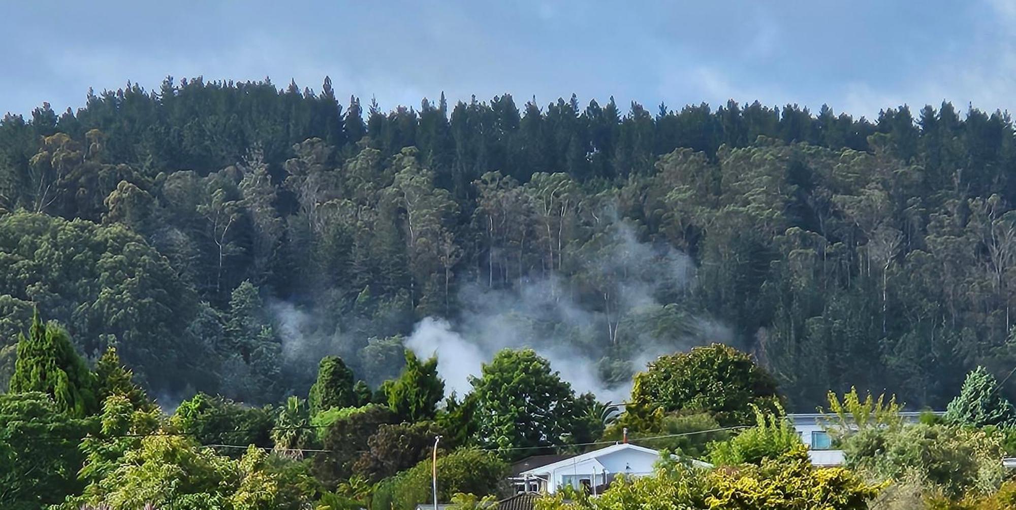 Redwood Apartments Rotorua Kültér fotó